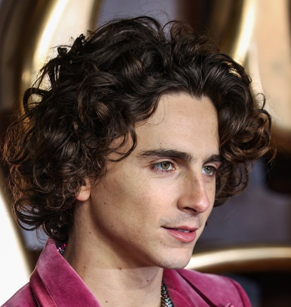 Timoth&#xE9;e Chalamet | &#x3A4;&#x3BF; &#x3B5;&#x3BD;&#x3C4;&#x3C5;&#x3C0;&#x3C9;&#x3C3;&#x3B9;&#x3B1;&#x3BA;&#x3CC; &#x3BA;&#x3AD;&#x3C1;&#x3B9;&#x3BD;&#x3BF; &#x3BF;&#x3BC;&#x3BF;&#x3AF;&#x3C9;&#x3BC;&#x3AC; &#x3C4;&#x3BF;&#x3C5; &#x3C3;&#x3C4;&#x3BF; &#x3BC;&#x3BF;&#x3C5;&#x3C3;&#x3B5;&#x3AF;&#x3BF;