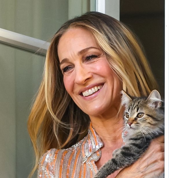 &#x3A4;&#x3AD;&#x3BB;&#x3BF;&#x3C2; &#x3B5;&#x3C0;&#x3BF;&#x3C7;&#x3AE;&#x3C2; &#x3B3;&#x3B9;&#x3B1; &#x3C4;&#x3BF; &#x3B4;&#x3B9;&#x3B1;&#x3BC;&#x3AD;&#x3C1;&#x3B9;&#x3C3;&#x3BC;&#x3B1; &#x3C4;&#x3B7;&#x3C2; Carrie Bradshaw &#x3C3;&#x3C4;&#x3B7; &#x39D;&#x3AD;&#x3B1; &#x3A5;&#x3CC;&#x3C1;&#x3BA;&#x3B7;