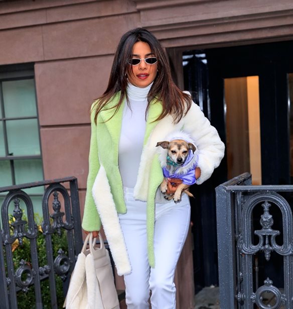 Priyanka Chopra &amp; Bradley Cooper: &#x3A0;&#x3BF;&#x3CD; &#x3C4;&#x3BF;&#x3C5;&#x3C2; &#x3B5;&#x3BD;&#x3C4;&#x3CC;&#x3C0;&#x3B9;&#x3C3;&#x3B5; &#x3BF; &#x3C6;&#x3C9;&#x3C4;&#x3BF;&#x3B3;&#x3C1;&#x3B1;&#x3C6;&#x3B9;&#x3BA;&#x3CC;&#x3C2; &#x3C6;&#x3B1;&#x3BA;&#x3CC;&#x3C2;;