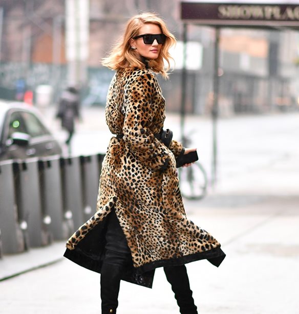 Gigi Hadid-Rosie Huntington - Whiteley: &#x3A0;&#x3BF;&#x3CD; &#x3C4;&#x3B9;&#x3C2; &#x3B5;&#x3BD;&#x3C4;&#x3CC;&#x3C0;&#x3B9;&#x3C3;&#x3B5; &#x3BF; &#x3C6;&#x3C9;&#x3C4;&#x3BF;&#x3B3;&#x3C1;&#x3B1;&#x3C6;&#x3B9;&#x3BA;&#x3CC;&#x3C2; &#x3C6;&#x3B1;&#x3BA;&#x3CC;&#x3C2;;