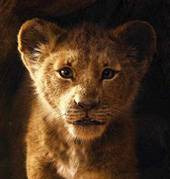 &#x3A4;&#x3BF; Lion King &#x3B6;&#x3C9;&#x3BD;&#x3C4;&#x3B1;&#x3BD;&#x3B5;&#x3CD;&#x3B5;&#x3B9; &#x3BE;&#x3B1;&#x3BD;&#x3AC; &#x3C3;&#x3C4;&#x3B7;&#x3BD; &#x3BC;&#x3B5;&#x3B3;&#x3AC;&#x3BB;&#x3B7; &#x3BF;&#x3B8;&#x3CC;&#x3BD;&#x3B7;