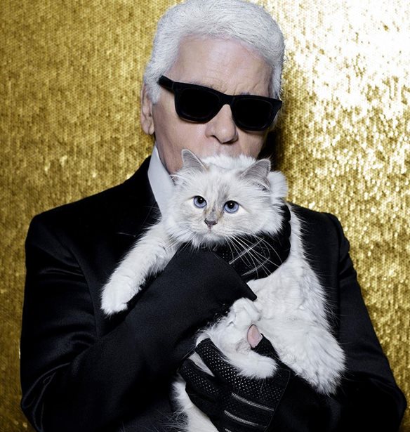 &#x397; Choupette &#x3B1;&#x3C0;&#x3BF;&#x3C7;&#x3B1;&#x3B9;&#x3C1;&#x3B5;&#x3C4;&#x3AC; &#x3C4;&#x3BF;&#x3BD; Karl Lagerfeld