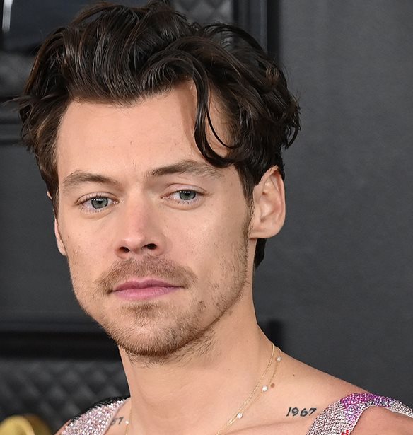 Harry Styles | &#x3A0;&#x3B9;&#x3BF; &#x3B5;&#x3C1;&#x3C9;&#x3C4;&#x3B5;&#x3C5;&#x3BC;&#x3AD;&#x3BD;&#x3BF;&#x3C2; &#x3B1;&#x3C0;&#x3CC; &#x3C0;&#x3BF;&#x3C4;&#x3AD; &#x3C3;&#x3C4;&#x3BF; &#x3C0;&#x3BB;&#x3B5;&#x3C5;&#x3C1;&#x3CC; &#x3C4;&#x3B7;&#x3C2; Taylor Russell