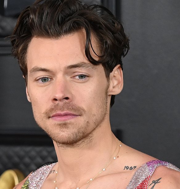 Harry Styles | &#x3A0;&#x3BF;&#x3C1;&#x3C4;&#x3C1;&#x3AD;&#x3C4;&#x3BF; &#x3C4;&#x3BF;&#x3C5; &#x3C0;&#x3BF;&#x3C5; &#x3C6;&#x3B9;&#x3BB;&#x3BF;&#x3C4;&#x3AD;&#x3C7;&#x3BD;&#x3B7;&#x3C3;&#x3B5; &#x3BF; David Hockney &#x3C3;&#x3C4;&#x3B7; National Portrait Gallery &#x3C4;&#x3BF;&#x3C5; &#x39B;&#x3BF;&#x3BD;&#x3B4;&#x3AF;&#x3BD;&#x3BF;&#x3C5;