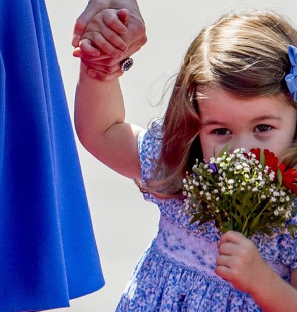 &#x397; &#x3C0;&#x3C1;&#x3B9;&#x3B3;&#x3BA;&#x3AF;&#x3C0;&#x3B9;&#x3C3;&#x3C3;&#x3B1; Charlotte &#x3AD;&#x3BA;&#x3BB;&#x3B5;&#x3C8;&#x3B5; &#x3C4;&#x3B7;&#x3BD; &#x3C0;&#x3B1;&#x3C1;&#x3AC;&#x3C3;&#x3C4;&#x3B1;&#x3C3;&#x3B7; &#x3C3;&#x3C4;&#x3B7;&#x3BD; &#x3C0;&#x3C1;&#x3CC;&#x3C3;&#x3C6;&#x3B1;&#x3C4;&#x3B7; &#x3B5;&#x3BC;&#x3C6;&#x3AC;&#x3BD;&#x3B9;&#x3C3;&#x3B7; &#x3C4;&#x3B7;&#x3C2; &#x3B2;&#x3B1;&#x3C3;&#x3B9;&#x3BB;&#x3B9;&#x3BA;&#x3AE;&#x3C2; &#x3BF;&#x3B9;&#x3BA;&#x3BF;&#x3B3;&#x3AD;&#x3BD;&#x3B5;&#x3B9;&#x3B1;&#x3C2;