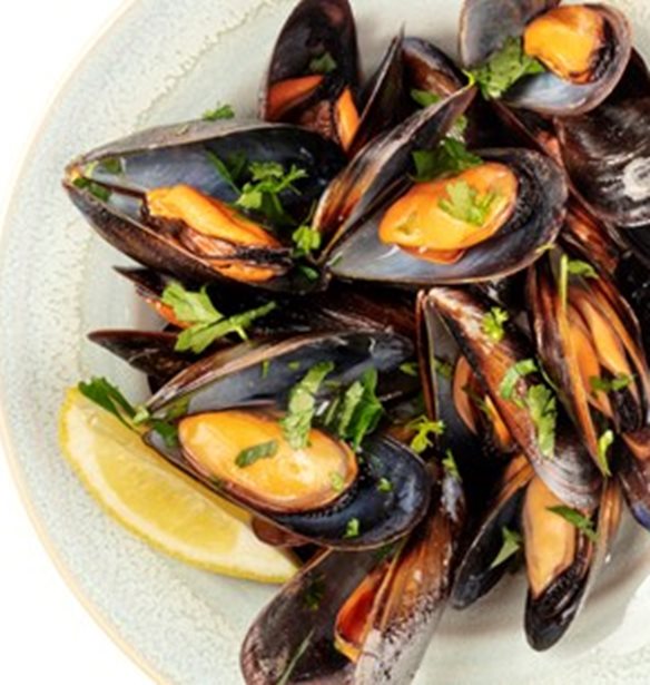 &#x3A4;&#x3B1; &#x39C;&#x3CD;&#x3B4;&#x3B9;&#x3B1; &#x3C4;&#x3BF;&#x3C5; &#x39D;&#x3B1;&#x3C5;&#x3C4;&#x3B9;&#x3BA;&#x3BF;&#x3CD;