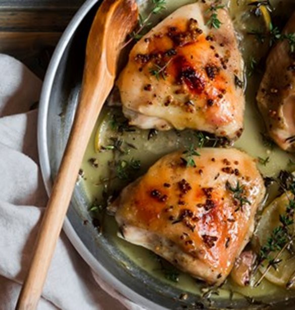 &#x39A;&#x3BF;&#x3C4;&#x3CC;&#x3C0;&#x3BF;&#x3C5;&#x3BB;&#x3BF; &#x3BC;&#x3B5; &#x39C;&#x3BF;&#x3C3;&#x3C7;&#x3BF;&#x3BB;&#x3AD;&#x3BC;&#x3BF;&#x3BD;&#x3BF; &#x3BA;&#x3B1;&#x3B9; &#x39C;&#x3AD;&#x3BB;&#x3B9;