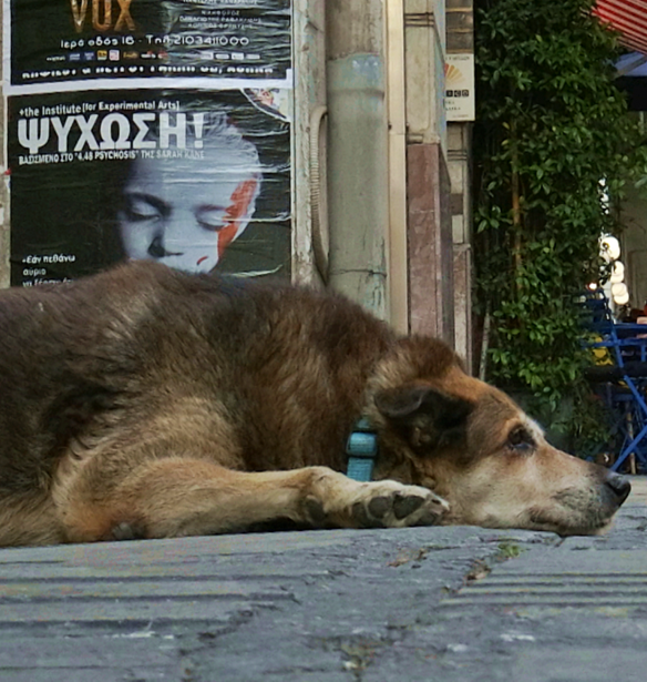 &#x39F;&#x3B9; &#x386;&#x3B3;&#x3BD;&#x3C9;&#x3C3;&#x3C4;&#x3BF;&#x3B9; &#x391;&#x3B8;&#x3B7;&#x3BD;&#x3B1;&#x3AF;&#x3BF;&#x3B9; | &#x391;&#x3B3;&#x3B3;&#x3B5;&#x3BB;&#x3B9;&#x3BA;&#x3AE; &#x391;&#x3BD;&#x3C4;&#x3C9;&#x3BD;&#x3AF;&#x3BF;&#x3C5;