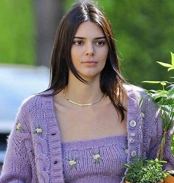 &#x3A0;&#x3BF;&#x3CD; &#x3B5;&#x3BD;&#x3C4;&#x3CC;&#x3C0;&#x3B9;&#x3C3;&#x3B5; &#x3BF; &#x3C6;&#x3C9;&#x3C4;&#x3BF;&#x3B3;&#x3C1;&#x3B1;&#x3C6;&#x3B9;&#x3BA;&#x3CC;&#x3C2; &#x3C6;&#x3B1;&#x3BA;&#x3CC;&#x3C2; &#x3C4;&#x3B7;&#x3BD; Kendall Jenner;