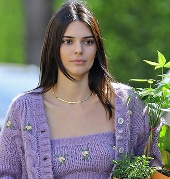 &#x3A0;&#x3BF;&#x3CD; &#x3B5;&#x3BD;&#x3C4;&#x3CC;&#x3C0;&#x3B9;&#x3C3;&#x3B5; &#x3BF; &#x3C6;&#x3C9;&#x3C4;&#x3BF;&#x3B3;&#x3C1;&#x3B1;&#x3C6;&#x3B9;&#x3BA;&#x3CC;&#x3C2; &#x3C6;&#x3B1;&#x3BA;&#x3CC;&#x3C2; &#x3C4;&#x3B7;&#x3BD; Kendall Jenner;