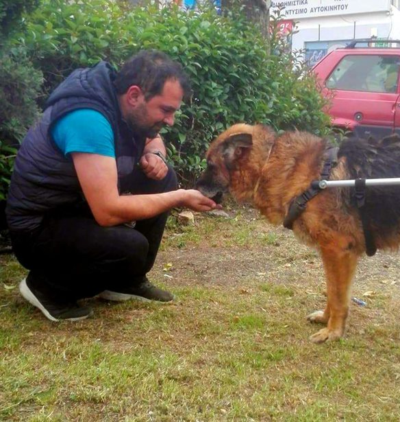 &#x39F; &#x392;&#x3B1;&#x3C3;&#x3AF;&#x3BB;&#x3B7;&#x3C2; &#x3A4;&#x3B6;&#x3B9;&#x3B3;&#x3BA;&#x3BF;&#x3CD;&#x3C1;&#x3B1;&#x3C2; &#x3AD;&#x3C7;&#x3B5;&#x3B9; &#x3C6;&#x3C4;&#x3B9;&#x3AC;&#x3BE;&#x3B5;&#x3B9; &#x3C0;&#x3AC;&#x3BD;&#x3C9; &#x3B1;&#x3C0;&#x3CC; 1.200 &#x3B1;&#x3BD;&#x3B1;&#x3C0;&#x3B7;&#x3C1;&#x3B9;&#x3BA;&#x3AC; &#x3B1;&#x3BC;&#x3B1;&#x3BE;&#x3AF;&#x3B4;&#x3B9;&#x3B1; &#x3B3;&#x3B9;&#x3B1; &#x3B6;&#x3CE;&#x3B1;