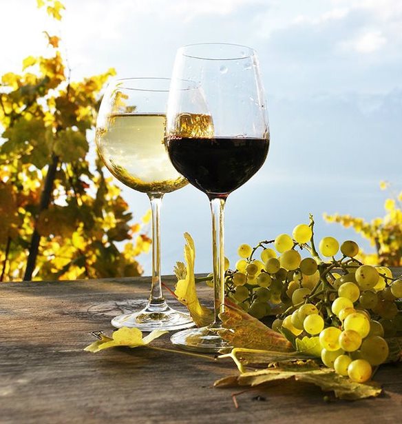 &#x3A4;&#x3B1; &#x3BA;&#x3C1;&#x3B1;&#x3C3;&#x3B9;&#x3AC; &#x3C0;&#x3BF;&#x3C5; &#x3B8;&#x3B1; &#x3C3;&#x3C5;&#x3BD;&#x3BF;&#x3B4;&#x3B5;&#x3CD;&#x3C3;&#x3BF;&#x3C5;&#x3BD; &#x3B9;&#x3B4;&#x3B1;&#x3BD;&#x3B9;&#x3BA;&#x3AC; &#x3C4;&#x3B1; &#x3C0;&#x3B1;&#x3C3;&#x3C7;&#x3B1;&#x3BB;&#x3B9;&#x3BD;&#x3AC; &#x3B5;&#x3B4;&#x3AD;&#x3C3;&#x3BC;&#x3B1;&#x3C4;&#x3B1;