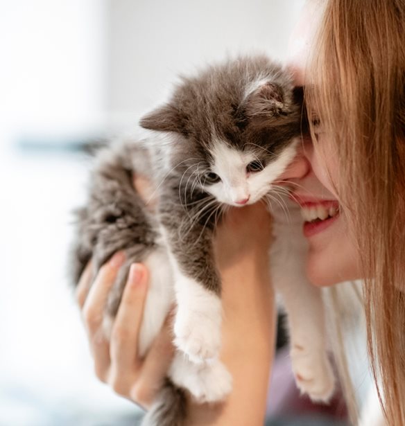 &#x3A3;&#x3C0;&#x3B9;&#x3C4;&#x3AC;&#x3BA;&#x3B9;&#x3B1; &#x3B3;&#x3B9;&#x3B1; &#x3B3;&#x3AC;&#x3C4;&#x3B5;&#x3C2; &#x3C4;&#x3BF;&#x3C0;&#x3BF;&#x3B8;&#x3B5;&#x3C4;&#x3BF;&#x3CD;&#x3BD;&#x3C4;&#x3B1;&#x3B9; &#x3C3;&#x3B5; &#x3B3;&#x3B5;&#x3B9;&#x3C4;&#x3BF;&#x3BD;&#x3B9;&#x3AD;&#x3C2; &#x3C4;&#x3B7;&#x3C2; &#x3C0;&#x3CC;&#x3BB;&#x3B7;&#x3C2;