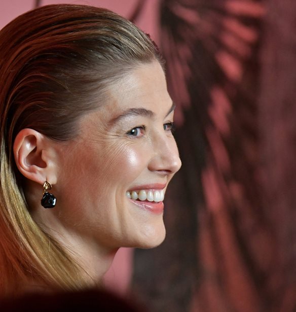 Rosamund Pike | &#x3A4;&#x3BF; &#x3B1;&#x3C4;&#x3CD;&#x3C7;&#x3B7;&#x3BC;&#x3B1; &#x3C0;&#x3BF;&#x3C5; &#x3B5;&#x3AF;&#x3C7;&#x3B5; &#x3C0;&#x3C1;&#x3B9;&#x3BD; &#x3B1;&#x3C0;&#x3CC; &#x3C4;&#x3B7;&#x3BD; &#x3B5;&#x3BC;&#x3C6;&#x3AC;&#x3BD;&#x3B9;&#x3C3;&#x3AE; &#x3C4;&#x3B9;&#x3C2; &#x3C3;&#x3C4;&#x3B9;&#x3C2; &#x3A7;&#x3C1;&#x3C5;&#x3C3;&#x3AD;&#x3C2; &#x3A3;&#x3C6;&#x3B1;&#x3AF;&#x3C1;&#x3B5;&#x3C2; 2024