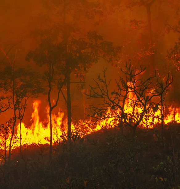 &#x3A0;&#x3C5;&#x3C1;&#x3BA;&#x3B1;&#x3B3;&#x3B9;&#x3AD;&#x3C2; &#x391;&#x3CD;&#x3B3;&#x3BF;&#x3C5;&#x3C3;&#x3C4;&#x3BF;&#x3C2; 2021 | E&#x3B9;&#x3BA;&#x3CC;&#x3BD;&#x3B5;&#x3C2; &#x3C0;&#x3BF;&#x3C5; &#x3BC;&#x3B1;&#x3C2; &#x3C3;&#x3C4;&#x3B9;&#x3B3;&#x3BC;&#x3AC;&#x3C4;&#x3B9;&#x3C3;&#x3B1;&#x3BD;