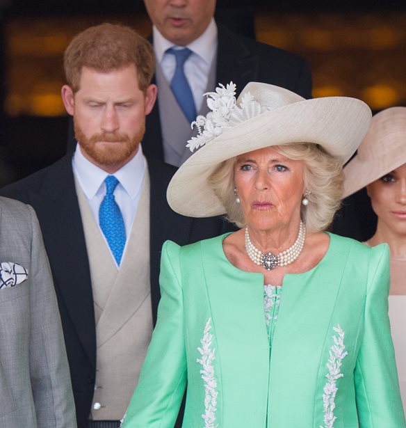 &#x3A4;&#x3BF; &#x3C1;&#x3B1;&#x3C4;&#x3C3;&#x3B9;&#x3C3;&#x3C4;&#x3B9;&#x3BA;&#x3CC; &#x3C3;&#x3C7;&#x3CC;&#x3BB;&#x3B9;&#x3BF; &#x3C4;&#x3B7;&#x3C2; &#x39A;&#x3B1;&#x3BC;&#x3AF;&#x3BB;&#x3B1; &#x3B3;&#x3B9;&#x3B1; &#x3C4;&#x3BF;&#x3BD; &#x3B3;&#x3B9;&#x3BF; &#x3C4;&#x3B7;&#x3C2; Meghan &#x3BA;&#x3B1;&#x3B9; &#x3C4;&#x3BF;&#x3C5; Harry