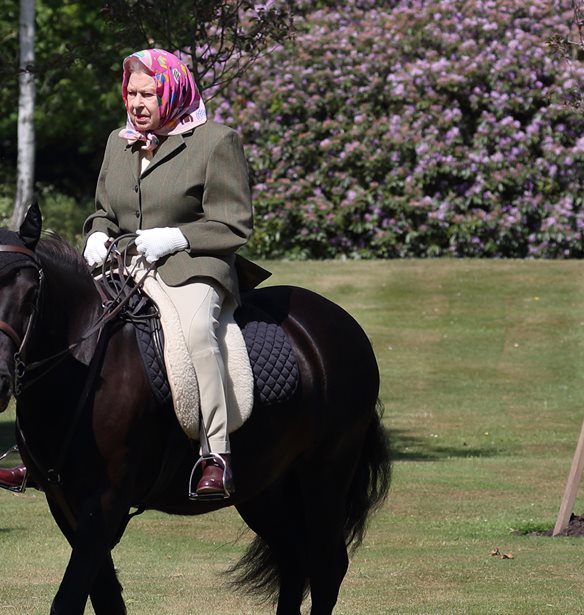 &#x397; &#x3B2;&#x3B1;&#x3C3;&#x3AF;&#x3BB;&#x3B9;&#x3C3;&#x3C3;&#x3B1; &#x395;&#x3BB;&#x3B9;&#x3C3;&#x3AC;&#x3B2;&#x3B5;&#x3C4; &#x3B9;&#x3C0;&#x3C0;&#x3B5;&#x3CD;&#x3B5;&#x3B9; &#x3BE;&#x3B1;&#x3BD;&#x3AC;, &#x3C0;&#x3B1;&#x3C1;&#x3AC; &#x3C4;&#x3B1; &#x3BA;&#x3B9;&#x3BD;&#x3B7;&#x3C4;&#x3B9;&#x3BA;&#x3AC; &#x3C0;&#x3C1;&#x3BF;&#x3B2;&#x3BB;&#x3AE;&#x3BC;&#x3B1;&#x3C4;&#x3B1; &#x3C0;&#x3BF;&#x3C5; &#x3B1;&#x3BD;&#x3C4;&#x3B9;&#x3BC;&#x3B5;&#x3C4;&#x3C9;&#x3C0;&#x3AF;&#x3B6;&#x3B5;&#x3B9;