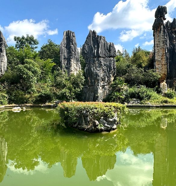 Stone Forest | &#x3A4;&#x3BF; &#x3B5;&#x3BD;&#x3C4;&#x3C5;&#x3C0;&#x3C9;&#x3C3;&#x3B9;&#x3B1;&#x3BA;&#x3CC; &#x3B1;&#x3BE;&#x3B9;&#x3BF;&#x3B8;&#x3AD;&#x3B1;&#x3C4;&#x3BF; &#x3C4;&#x3B7;&#x3C2; &#x39A;&#x3AF;&#x3BD;&#x3B1;&#x3C2; &#x3AD;&#x3C7;&#x3B5;&#x3B9; &#x3AD;&#x3BD;&#x3B1; &#x3CC;&#x3BC;&#x3BF;&#x3B9;&#x3CC; &#x3C4;&#x3BF;&#x3C5; &#x3C3;&#x3C4;&#x3B7;&#x3BD; &#x395;&#x3BB;&#x3BB;&#x3AC;&#x3B4;&#x3B1;