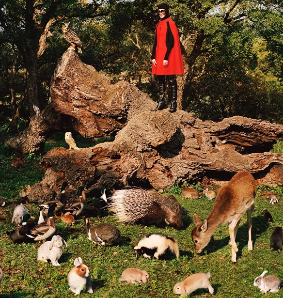 &#x39F; &#x3BF;&#x3AF;&#x3BA;&#x3BF;&#x3C2; Gucci &#x3BC;&#x3AC;&#x3C2; &#x3C4;&#x3B1;&#x3BE;&#x3B9;&#x3B4;&#x3B5;&#x3CD;&#x3B5;&#x3B9; &#x3C3;&#x3C4;&#x3B7;&#x3BD; &#x3B5;&#x3C0;&#x3BF;&#x3C7;&#x3AE; &#x3C4;&#x3B7;&#x3C2; &#x3C7;&#x3B1;&#x3BC;&#x3AD;&#x3BD;&#x3B7;&#x3C2; &#x3B1;&#x3B8;&#x3C9;&#x3CC;&#x3C4;&#x3B7;&#x3C4;&#x3B1;&#x3C2;