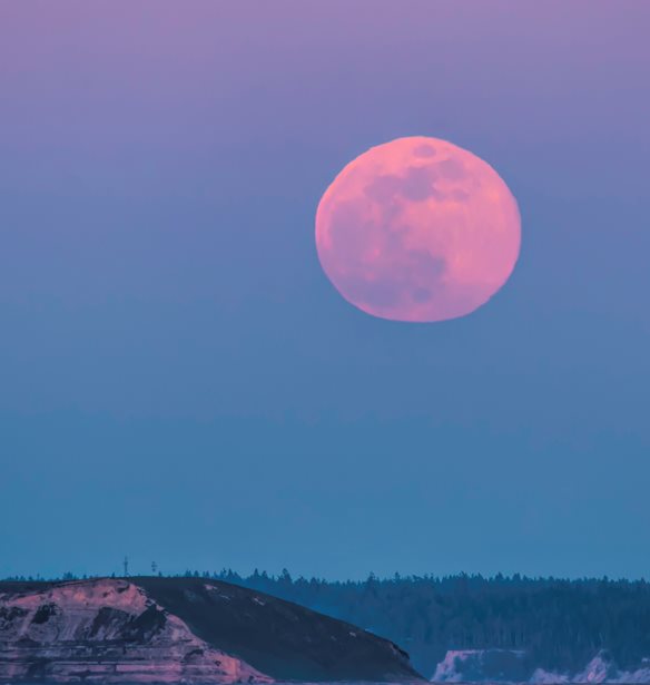 &#x3A0;&#x3B1;&#x3BD;&#x3C3;&#x3AD;&#x3BB;&#x3B7;&#x3BD;&#x3BF;&#x3C2; &#x391;&#x3C0;&#x3C1;&#x3B9;&#x3BB;&#x3AF;&#x3BF;&#x3C5;: &#x393;&#x3B9;&#x3B1;&#x3C4;&#x3AF; &#x3BF;&#x3BD;&#x3BF;&#x3BC;&#x3AC;&#x3B6;&#x3B5;&#x3C4;&#x3B1;&#x3B9; &#x3C1;&#x3BF;&#x3B6; &#x3C6;&#x3B5;&#x3B3;&#x3B3;&#x3AC;&#x3C1;&#x3B9; &#x3BA;&#x3B1;&#x3B9; &#x3C4;&#x3B9; &#x3B1;&#x3BB;&#x3BB;&#x3B1;&#x3B3;&#x3AD;&#x3C2; &#x3C6;&#x3AD;&#x3C1;&#x3BD;&#x3B5;&#x3B9;