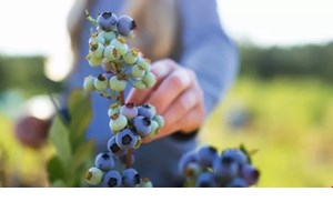 Οι γυναικολογικοί κίνδυνοι του καλοκαιριού και πώς θα τους αποφύγεις - εικόνα 1